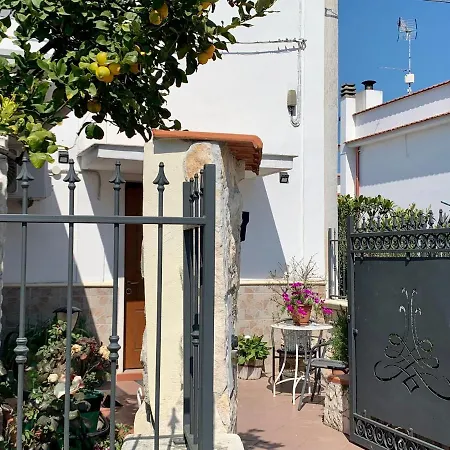 Casa Biscotti